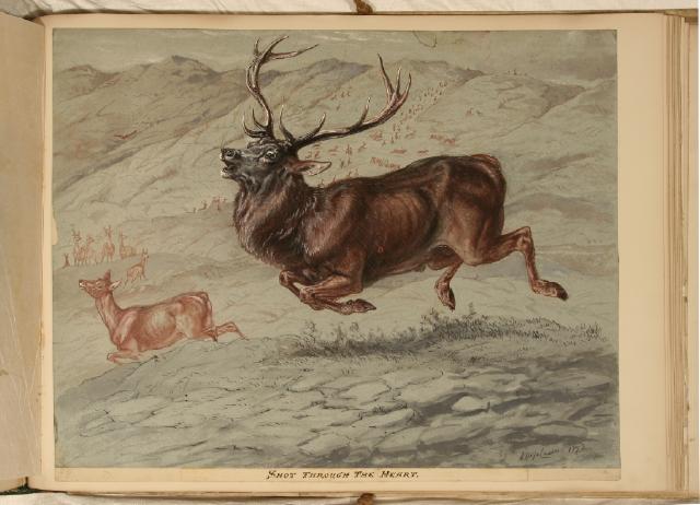 Record Image